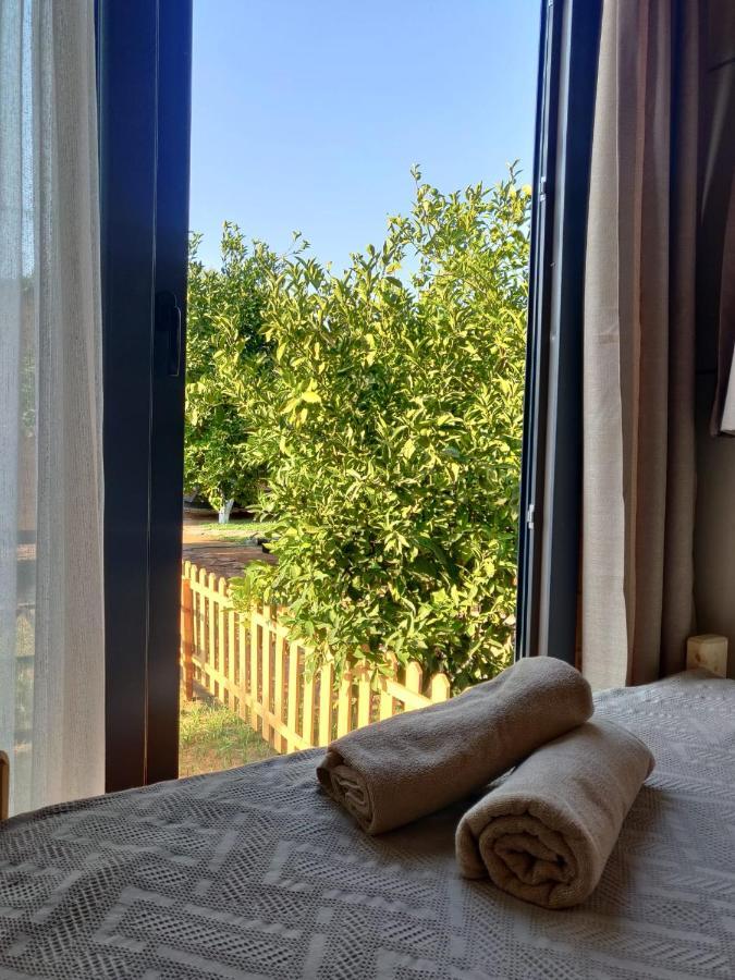 Gaia Tiny Houses Butik Hotel Bodrum Exteriér fotografie