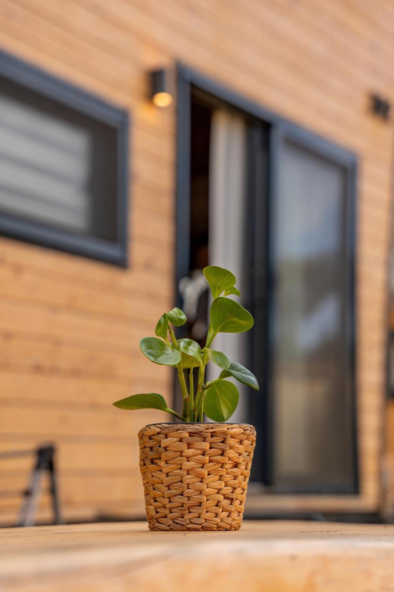 Gaia Tiny Houses Butik Hotel Bodrum Exteriér fotografie